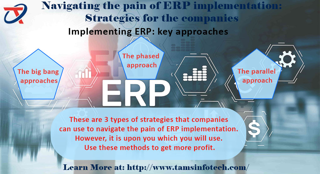 Navigating the pain of ERP implementation: Strategies for the companies